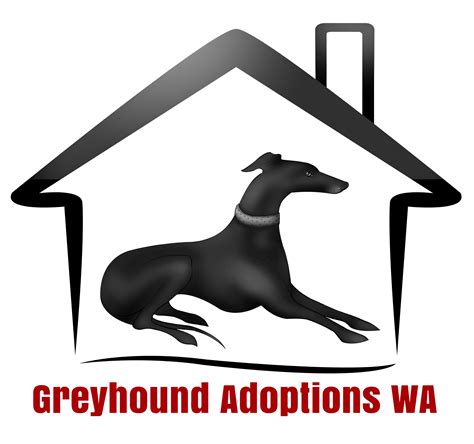 gawa greyhound|This is GAWA Macau hound Ivy At 5, Ivy is the youngest.